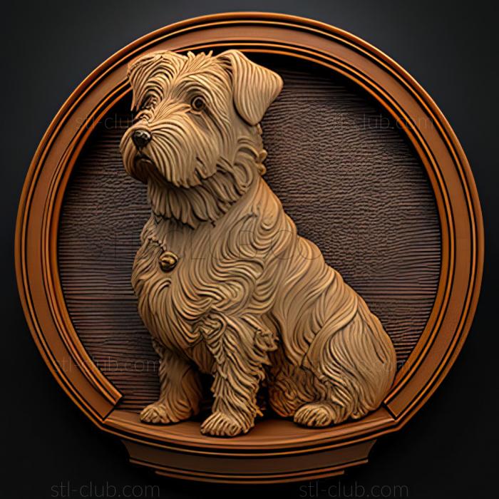 st Glen of Imaal Terrier dog